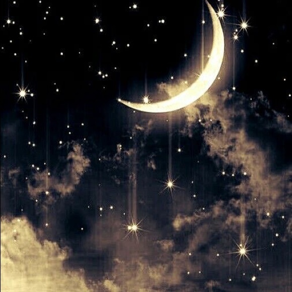 Meet your Posher, Megan - Picture 2 of 2